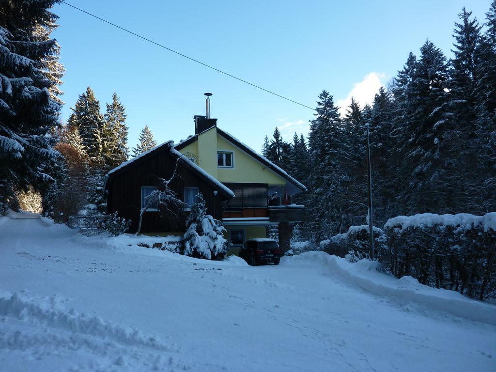 Apartment Schwarzwald Total Фройденштадт Экстерьер фото